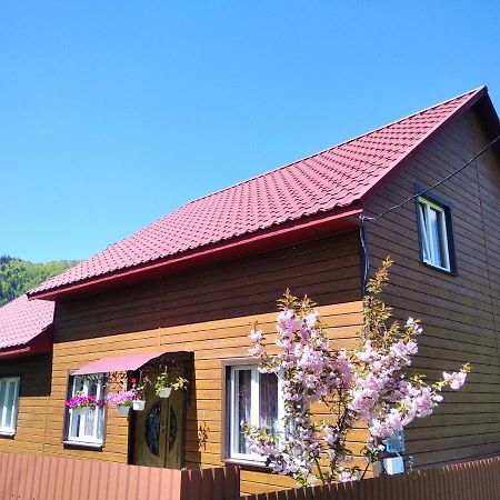 Відпочинок У Карпатах, Мінеральні Ванни, Банний Чан! Guest House Verkhnyaya Bystra Luaran gambar