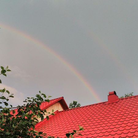 Відпочинок У Карпатах, Мінеральні Ванни, Банний Чан! Guest House Verkhnyaya Bystra Luaran gambar