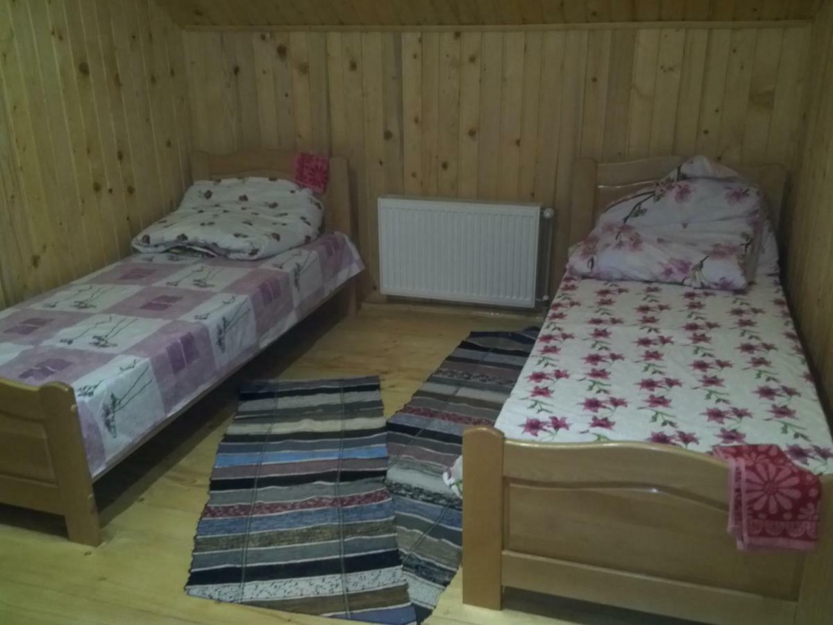 Відпочинок У Карпатах, Мінеральні Ванни, Банний Чан! Guest House Verkhnyaya Bystra Luaran gambar